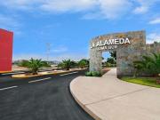 Se Vende Terreno Urb. Alameda De Lima Sur Etapa III