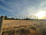 SE VENDE TERRENO URBANO PARA INVERSIÓN EN CHICUREO