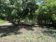 Se vende terrenos en Esperanza Verde cerca de Punta...