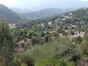 SE VENDE VARIAS PARCELAS SITUADAS EN LA ZONA DE FORREST...