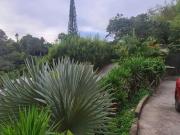 Se vende/alquila casa/2.000 d terreno/ 300m2 construccio...