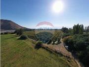 Se venden 17 Hectáreas en RANCAGUA