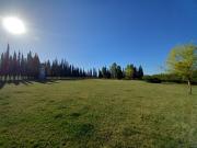 Se venden 18has. Gral. alvear, mza