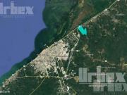 SE VENDEN 229 HECTÁREAS EN CAMPECHE