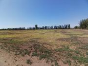 Se venden 60has gral. Alvear, mza