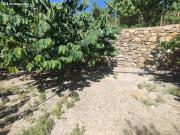 Se venden 7 marjales de terreno con cortijo y corral