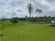 SE VENDEN LOTES DE DIFERENTES AREAS VISTA QUE ENAMORA...