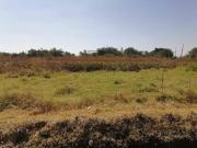 SE VENDEN LOTES EN EJIDOS DE ACAPATZINGO