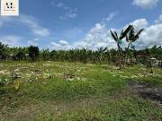 ¡Se venden lotes en Quimbaya, Quindío con escritura pública!