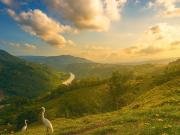 SE VENDEN LOTES EXCLUSIVOS EN MALABAR – CERRITOS, PEREIRA