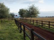 SE VENDEN LOTES TIPO RANCHETTES, EN HUAMANTLA, TLAXCALA