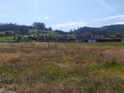 Se venden parcelas urbanas en Cicero