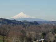 SE VENDEN PRECIOSAS PARCELAS SECTOR LAS QUEMAS OSORNO