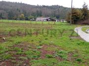 Se venden sitios en La Paz, Loncoche