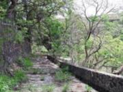 SE VENDEN TERRENOS EN CHIPITLAN