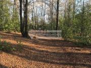 SE VENDEN TERRENOS EN SECTOR LAS LUMAS, CHILLAN