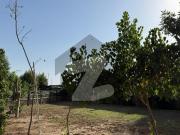 Sea View Apartment First Floor Available For Rent Sea...