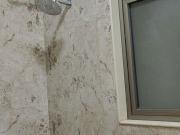 Seagull Apartment 2 Bedroom 850 Sq. Ft. Apartment in...