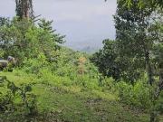 Seaview lot for sale ideal for mountain resort, e... Seaview lot for sale ideal for mountain resort, e...