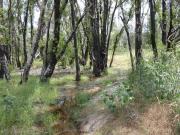 Seclusion on Serrata