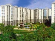 Sector 11 Sohna 3 BHK Apartment For Sale Gurgaon