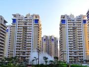 Sector 137 3 BHK Apartment For Sale Noida