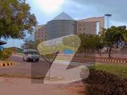 Sector 14C 500sq yards Plot Available For Sale