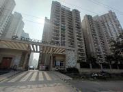 Sector 168 3 BHK Apartment For Sale Noida