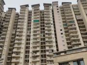 Ajnara Homes,Sector 16B Greater Noida West 3 BHK...