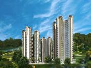 Town White Orchid,Sector 16C Greater Noida West 2.5 BHK...