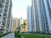 Sector 1, Greater Noida West 2.5 BHK Apartment For Sale...