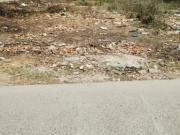 Sector 31 350 Sq.Yd. Plot in Sector 31 Faridabad