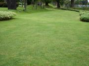 Golden Gate Residency II,Farukh Nagar Residential Plot...