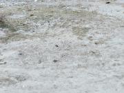 Sector 62, Faridabad South 160 Sq. Yd. Plot in Sector 62...