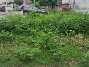 Sector 65, Faridabad South 250 Sq. Yd. Plot in Sector 65...