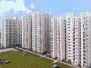 Sector 70 2 BHK Apartment For Sale Faridabad