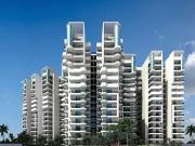 Sector 74 2.5 BHK Apartment For Sale Noida Sector 74 2.5 BHK Apartment For Sale Noida
