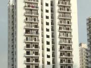 Sector 75 2 BHK Apartment For Sale Noida Sector 75 2 BHK Apartment For Sale Noida