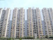 Sector 75 3 BHK Apartment For Sale Noida