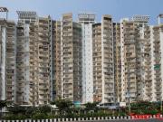Sector 78 1 BHK Apartment For Sale Noida Sector 78 1 BHK Apartment For Sale Noida