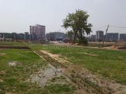Sector 78 Residential Plot For Sale Faridabad