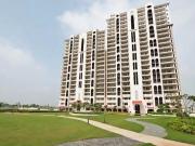 Sector 91 3 BHK Apartment For Sale Gurgaon