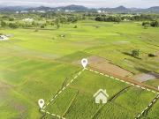 Sector 98, Neharpar Phase 1 180 Sq. Yd. Plot in Sector...