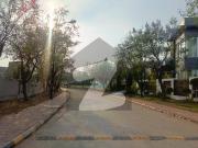Sector A 1 Kanal Street 12 Sun Facing Solid Land...