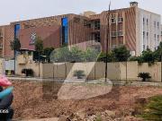 Sector C1 Street 16 Solid Land Investor Price