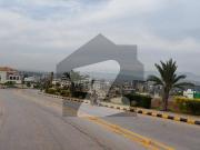 Sector C2, 10 Marla, Lane M, Solid Land, Possession...