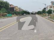 Sector M 1 Kanal Solid Land Plot Reasonable Price