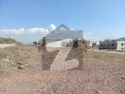 Sector N 8 Marla Plot Prime Location For Sale