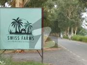 Secure 4 Kanal Farmhouse Land Ideal Location on Bedian Road