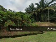 Sedenak Land For Sale